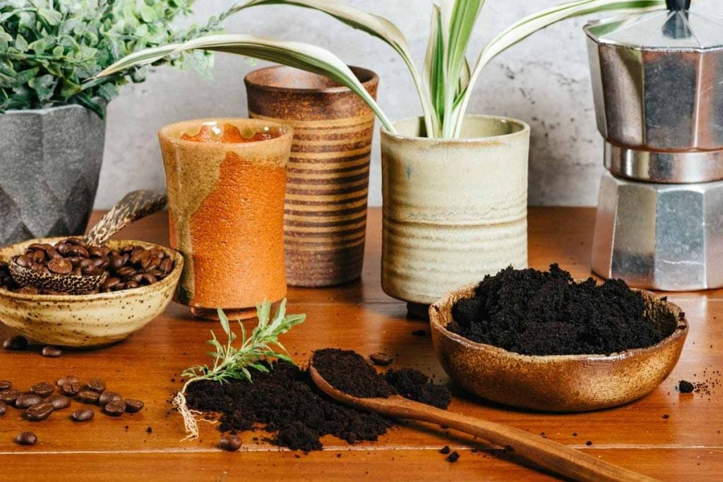 coffee grounds