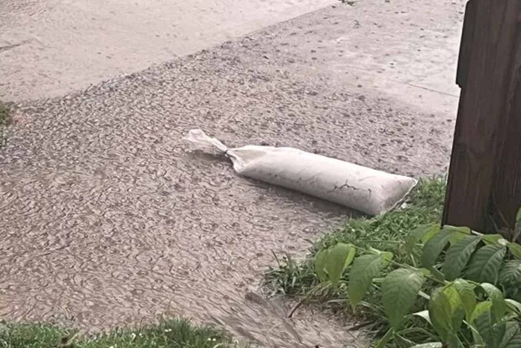 neighbor