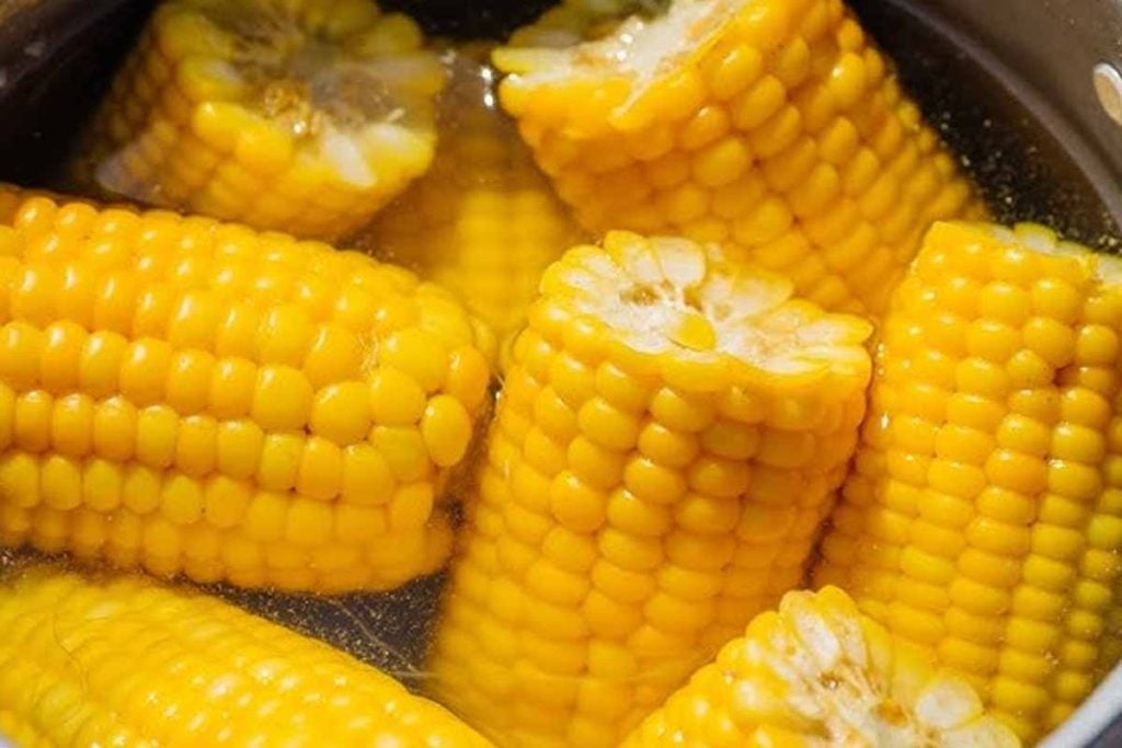 Fresh Corn On The Cob