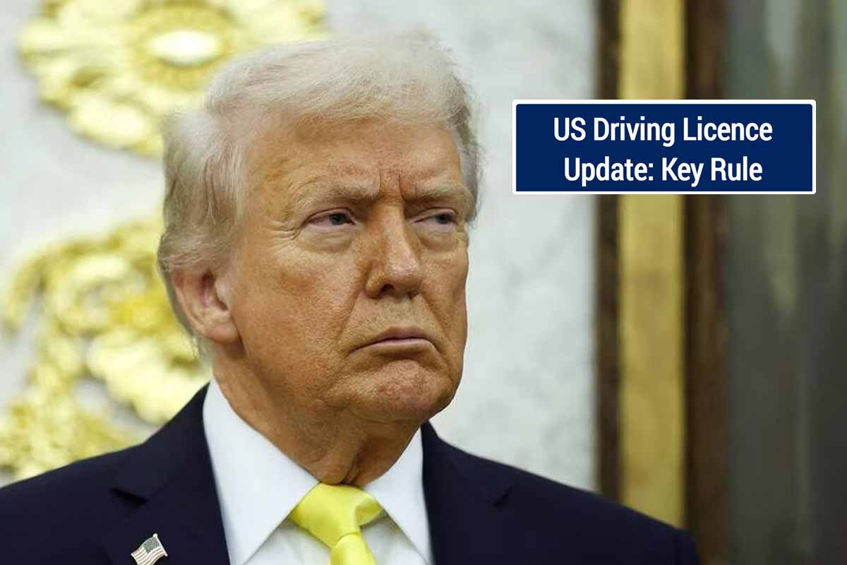 driving licence